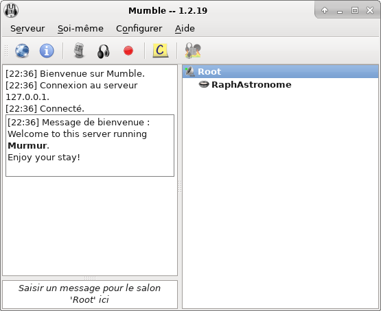 Interface de Mumble Mumble.png